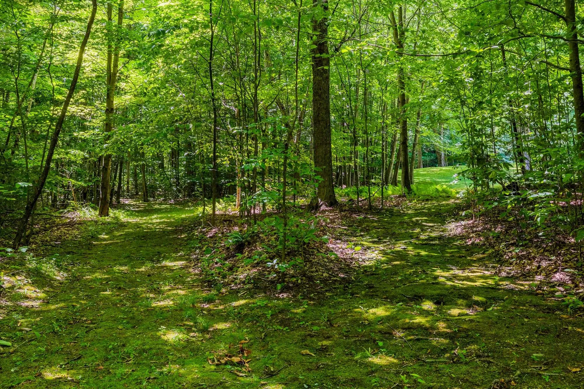 522 Farm Road Arlington VT 05250