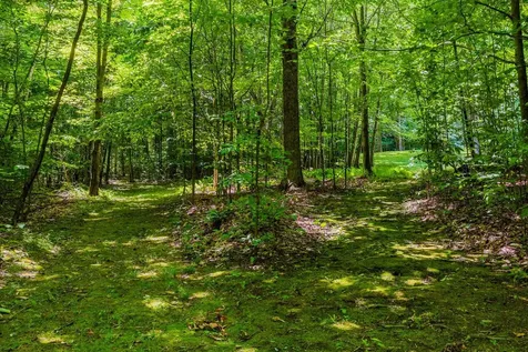 522 Farm Road Arlington VT 05250