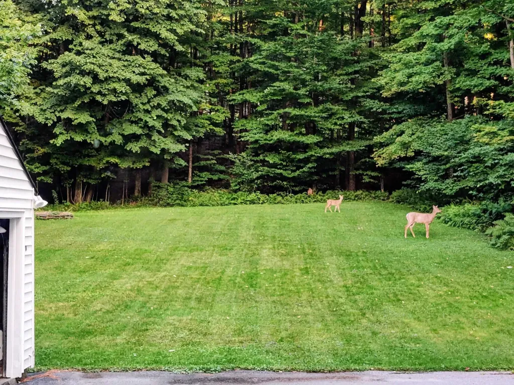 8 Shady Lane Montpelier VT 05602