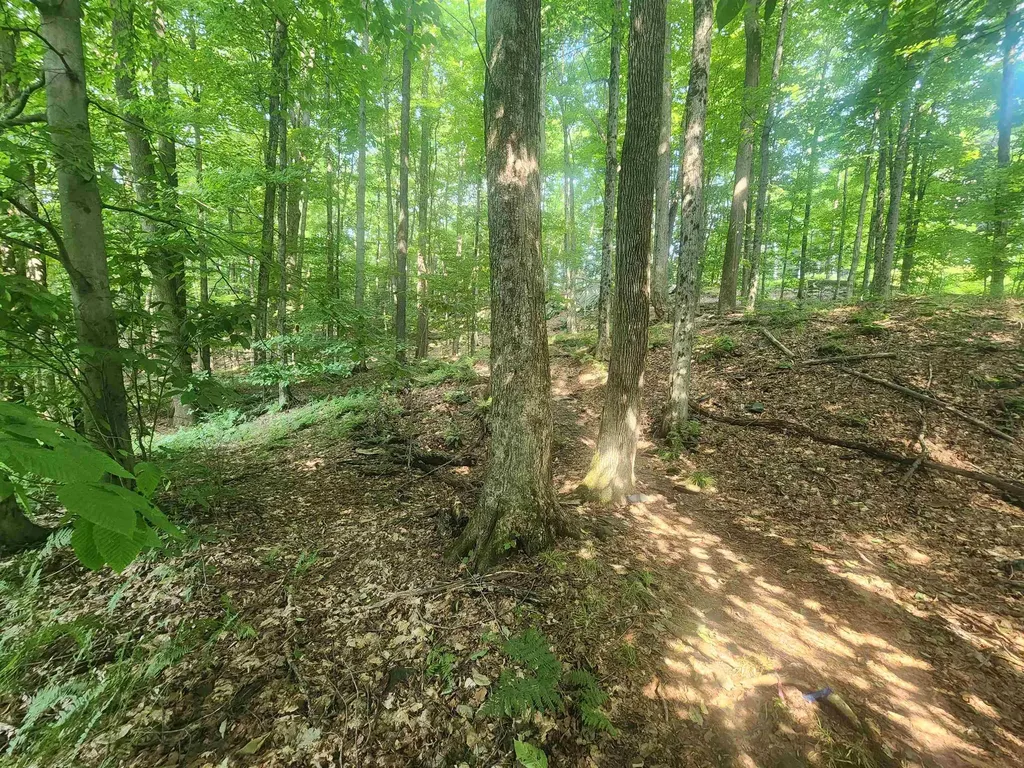 8 Shady Lane Montpelier VT 05602