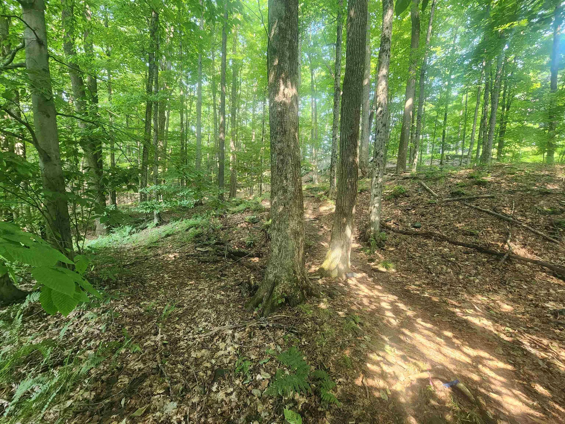 8 Shady Lane Montpelier VT 05602