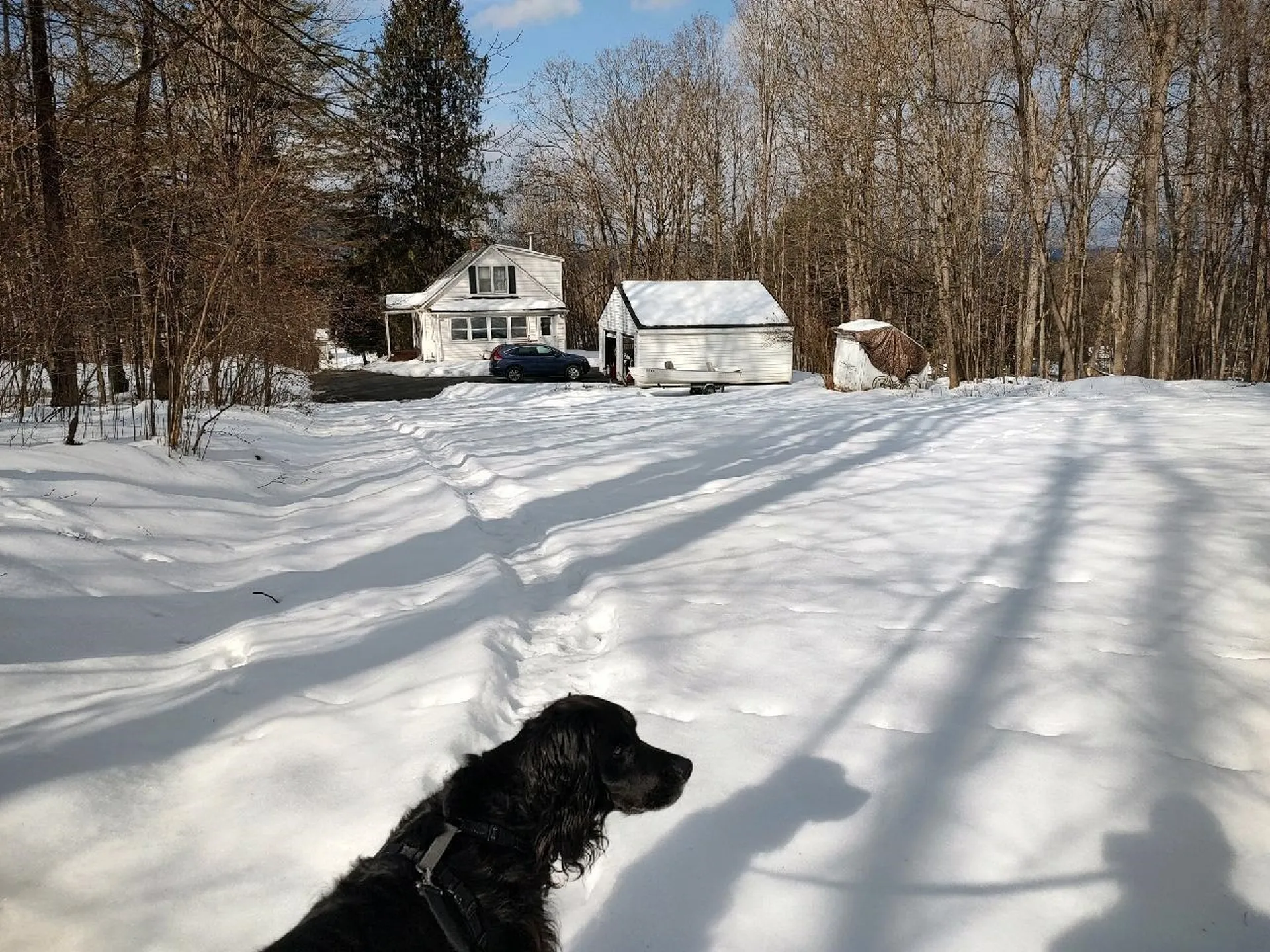 8 Shady Lane Montpelier VT 05602