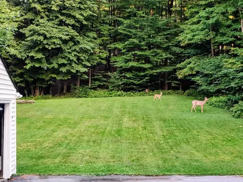 8 Shady Lane Montpelier VT 05602