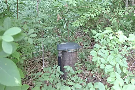 393 Overbrook Road Franconia NH 03580