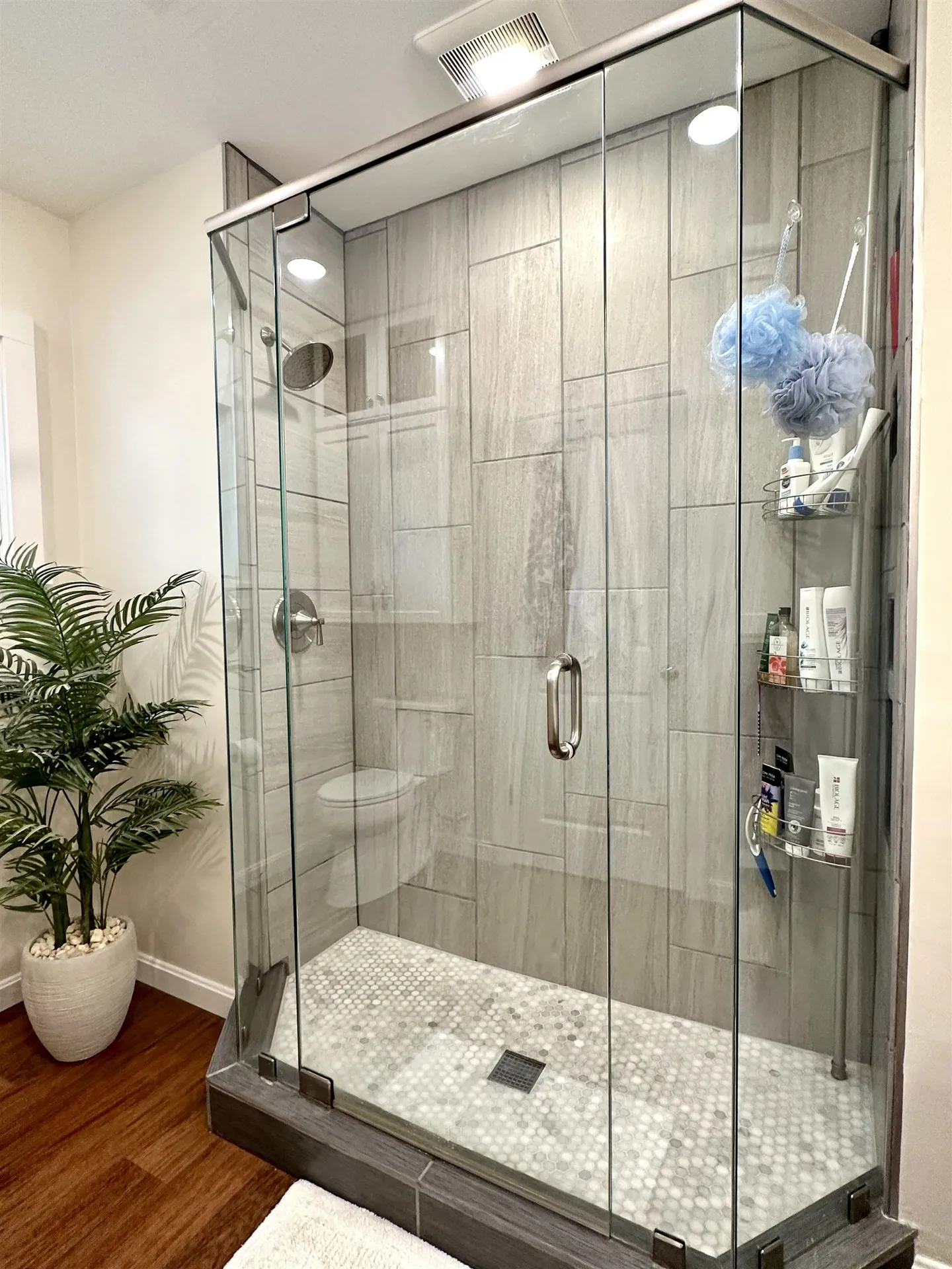 446 Edgemont Road Sunapee NH 03782