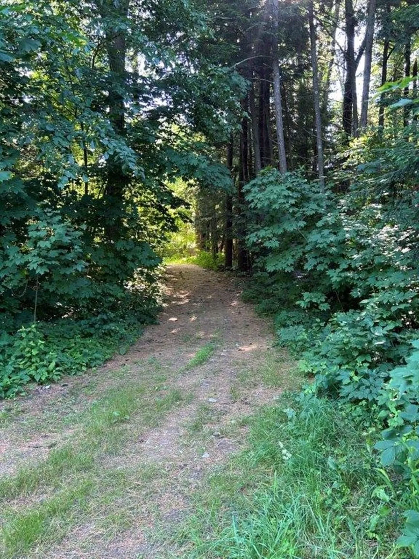 3 Wilson Pond Road Swanzey NH 03446