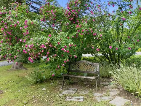 93 Butterfield Hill Road Weathersfield VT 05151