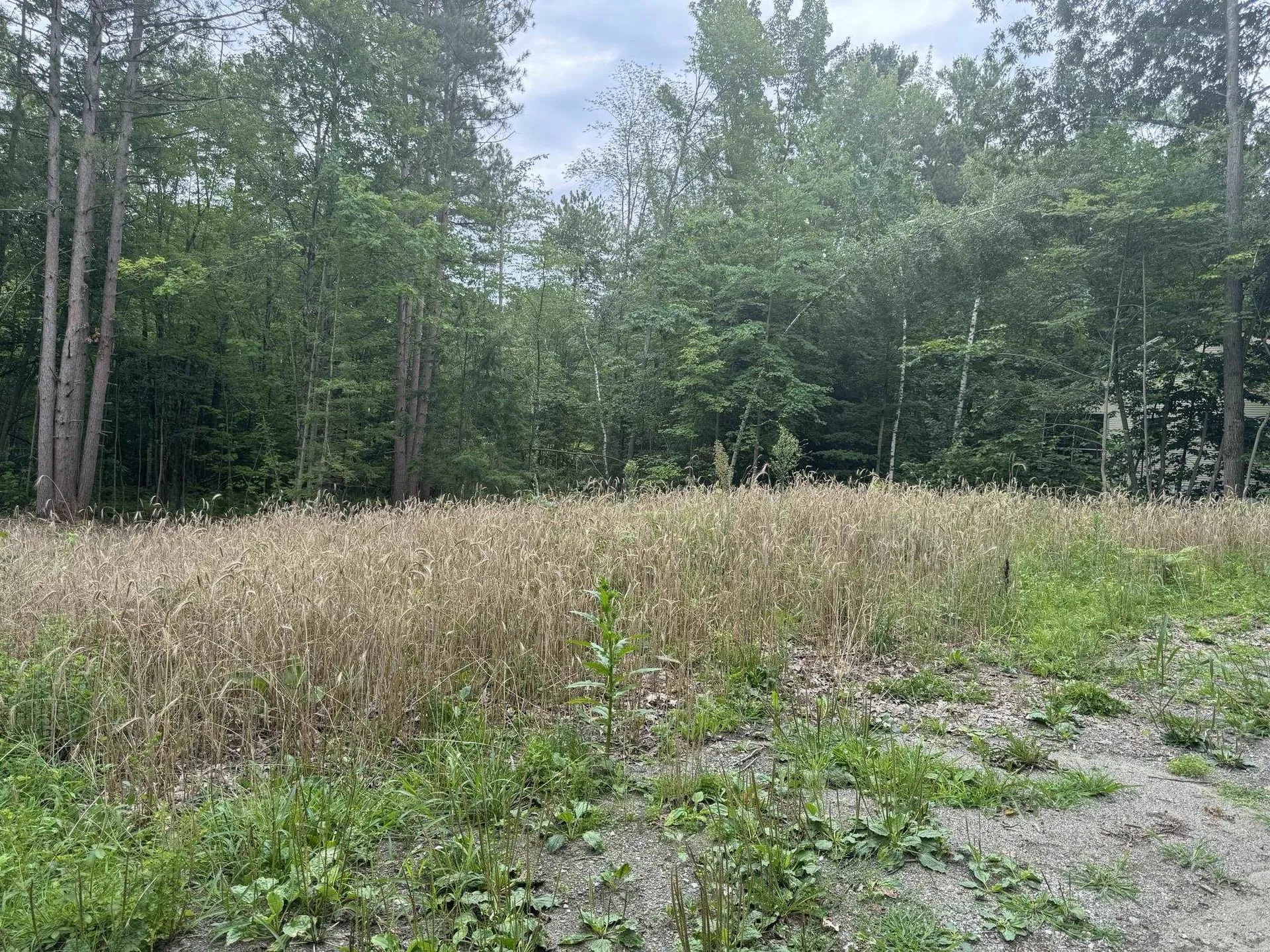 00 Pine Street Newport City VT 05855