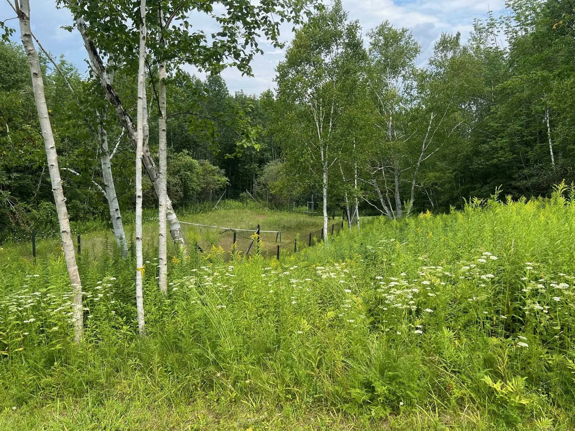 2506 Danby Mountain Road Dorset VT 05251