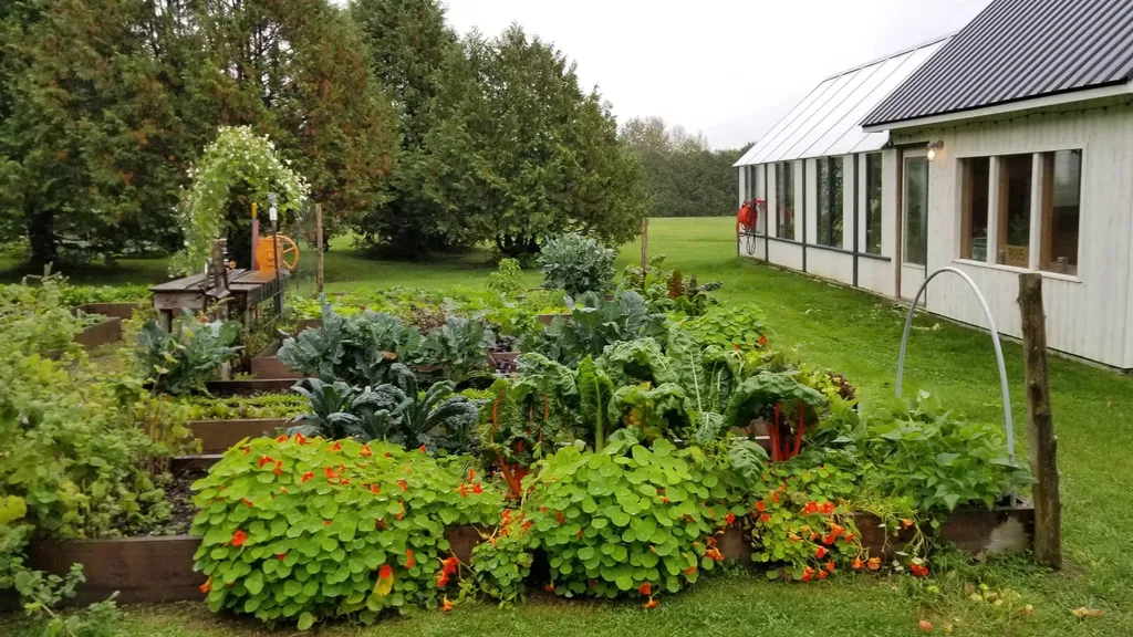 885 Burke Road Sutton VT 05867