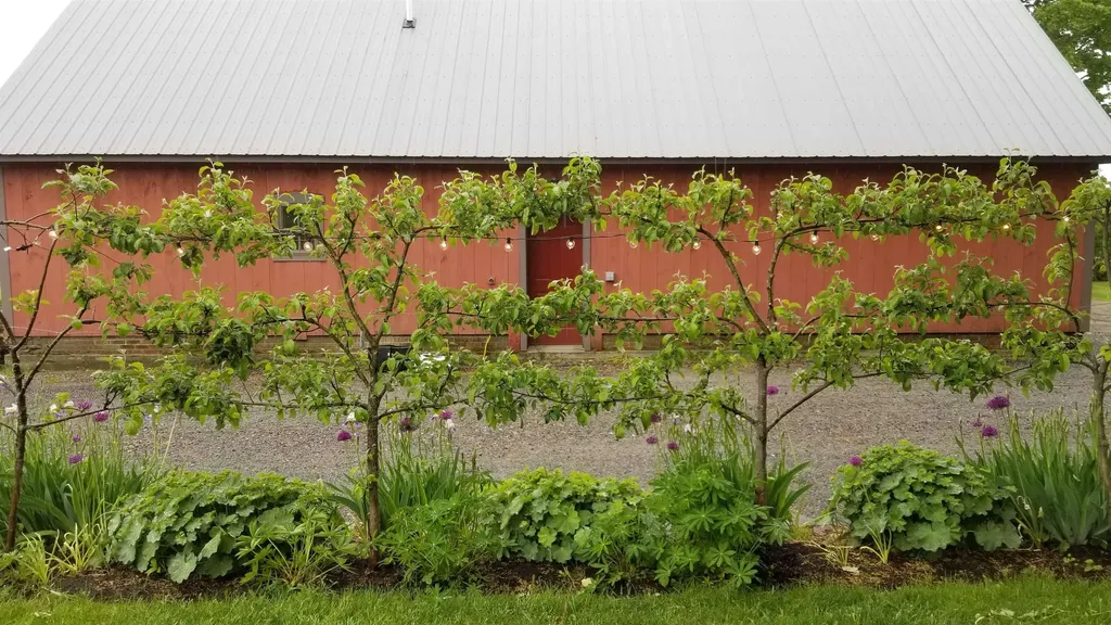 885 Burke Road Sutton VT 05867