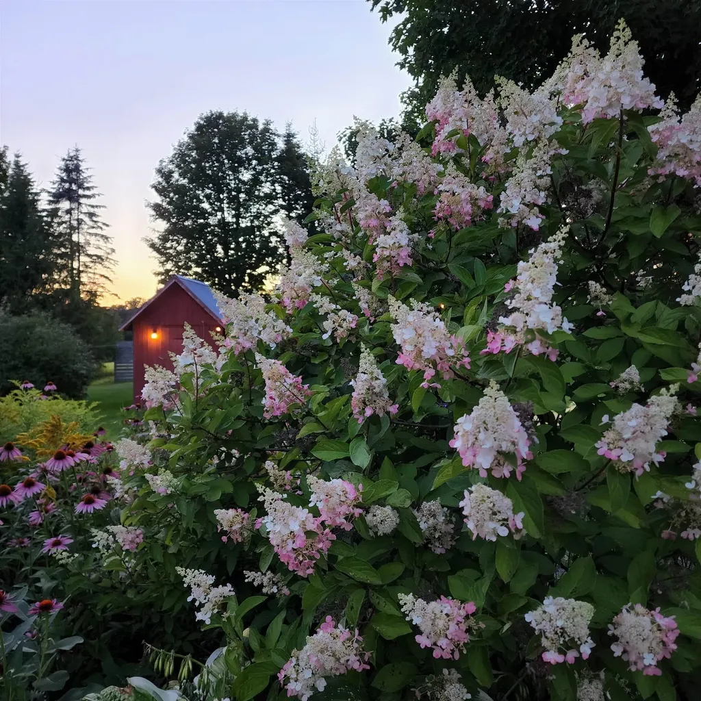 885 Burke Road Sutton VT 05867