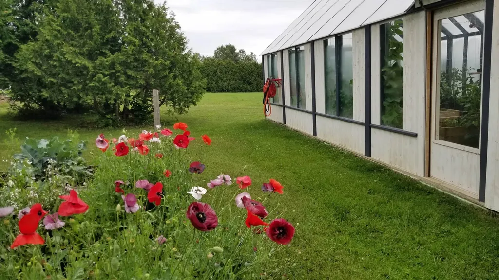 885 Burke Road Sutton VT 05867