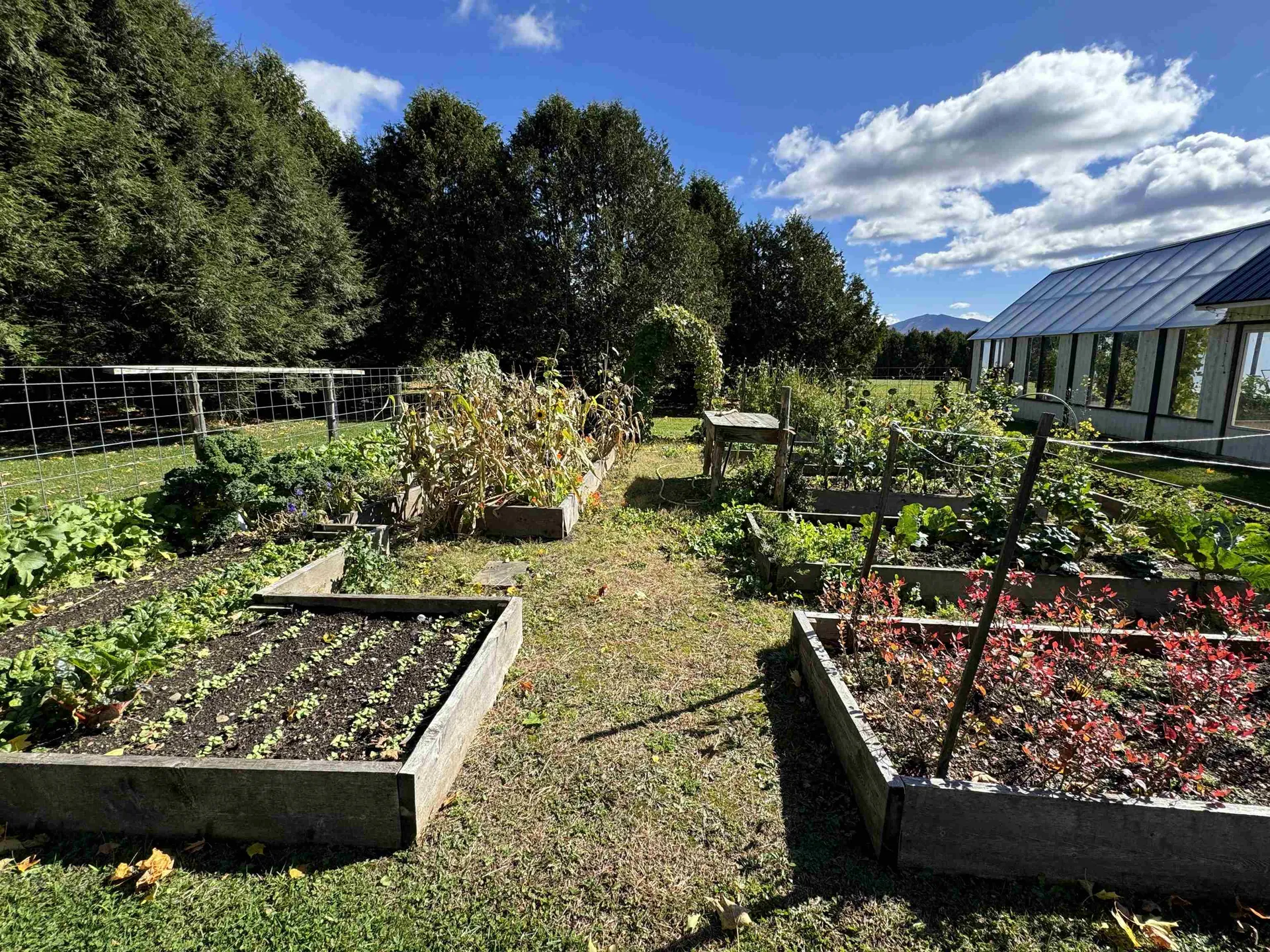 885 Burke Road Sutton VT 05867