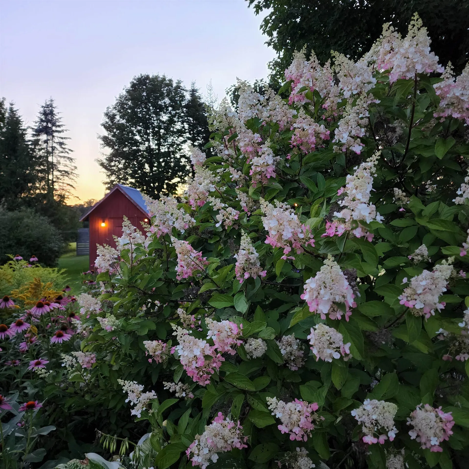 885 Burke Road Sutton VT 05867