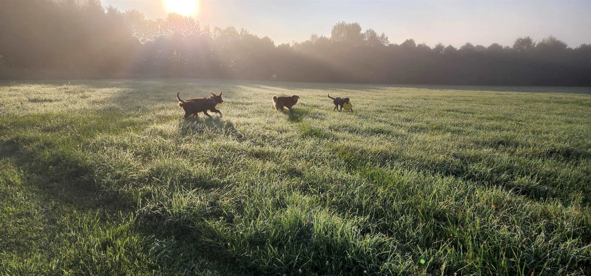 885 Burke Road Sutton VT 05867