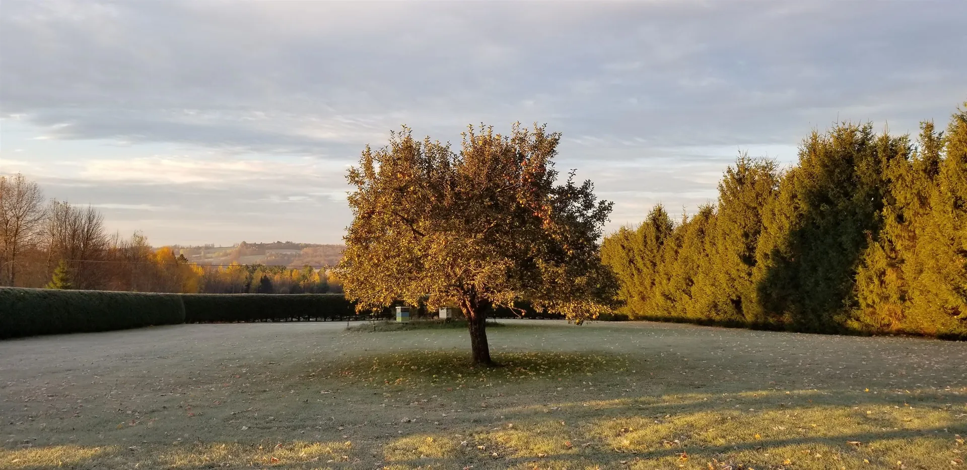 885 Burke Road Sutton VT 05867