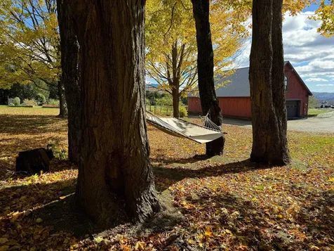 885 Burke Road Sutton VT 05867