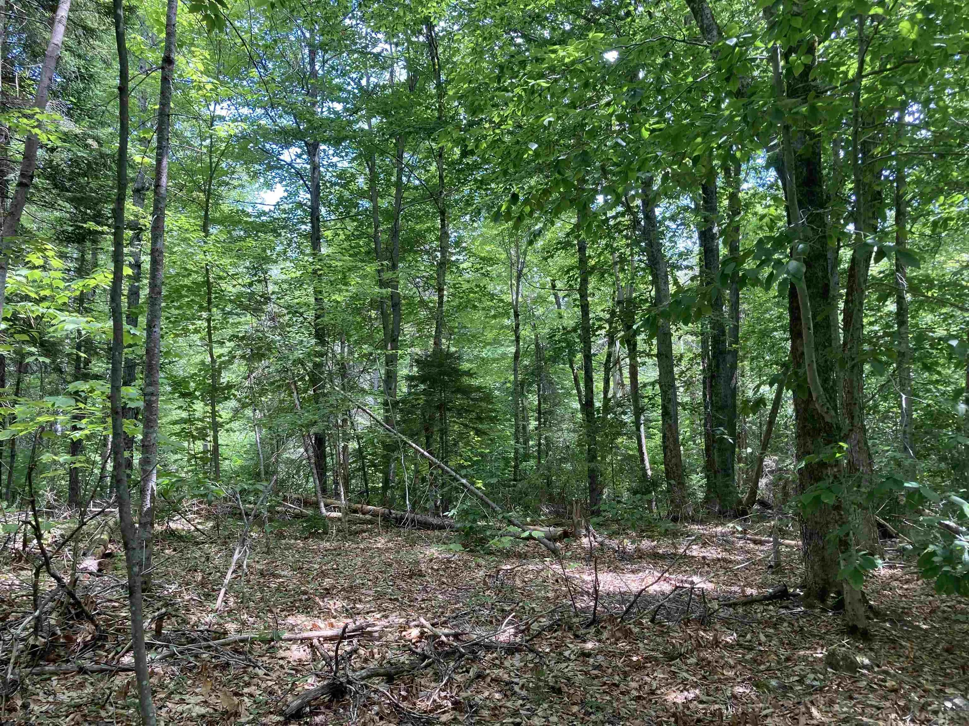 00 Kinsman Road Grafton NH 03240