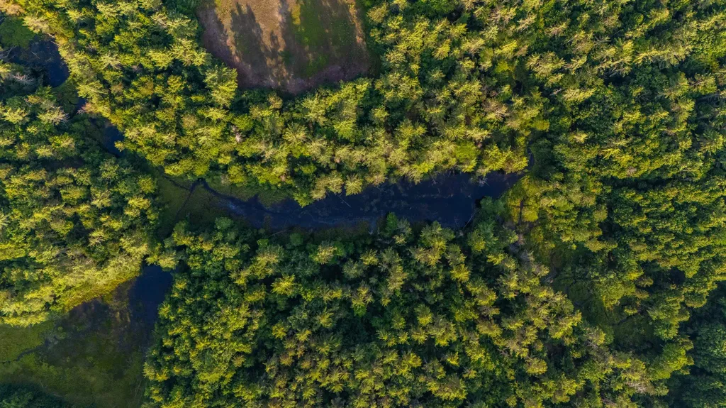 North Line Road Tuftonboro NH 03816