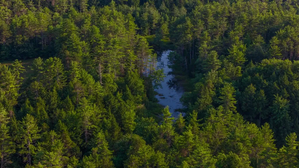 North Line Road Tuftonboro NH 03816