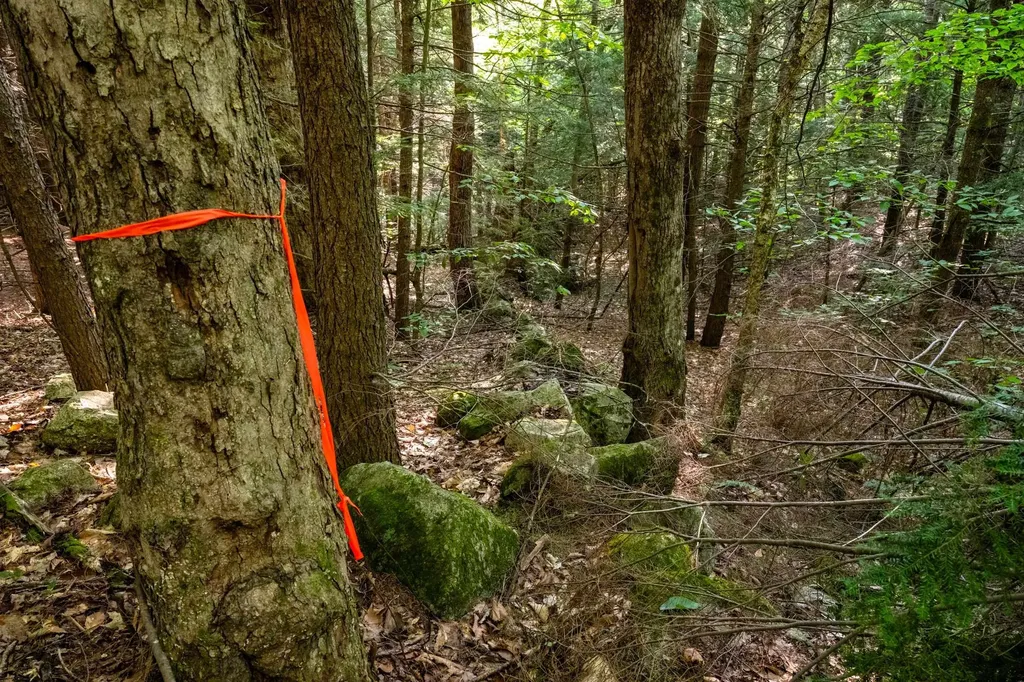 North Line Road Tuftonboro NH 03816