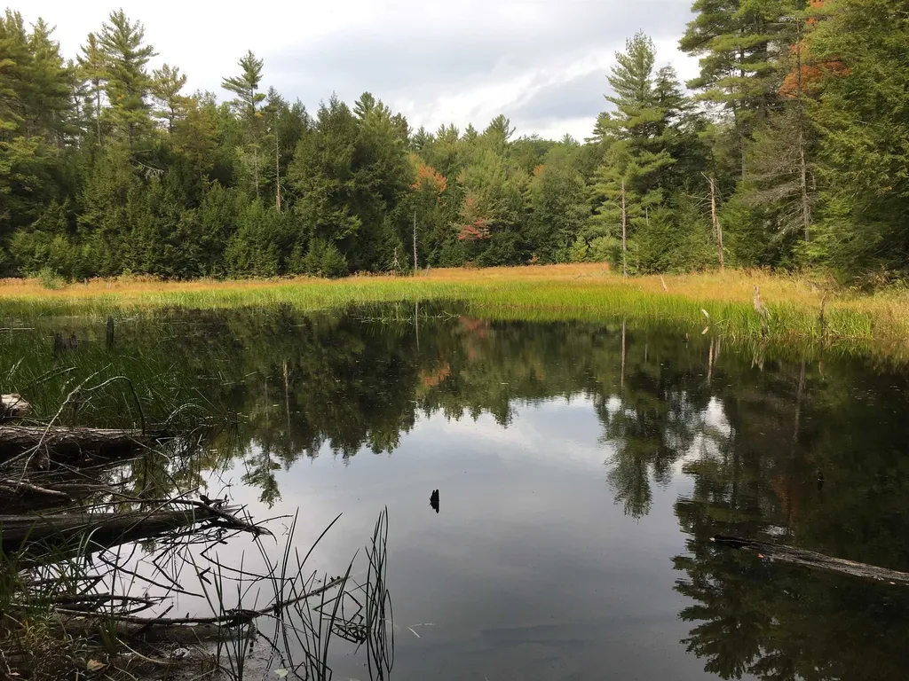 North Line Road Tuftonboro NH 03816