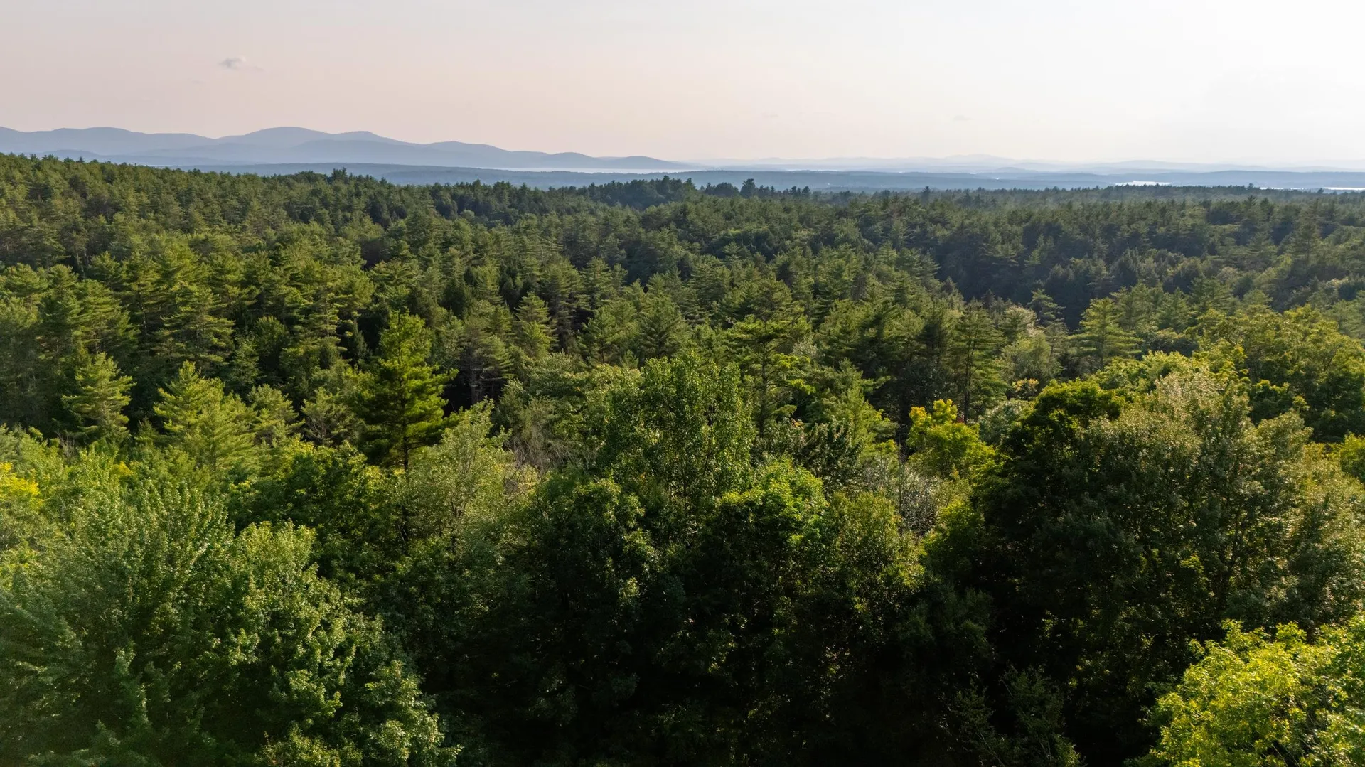 North Line Road Tuftonboro NH 03816