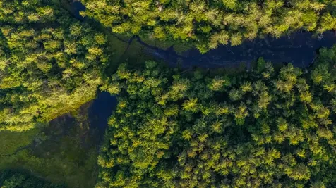 North Line Road Tuftonboro NH 03816