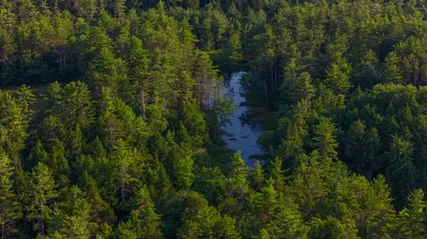 North Line Road Tuftonboro NH 03816