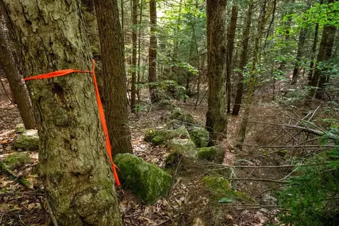 North Line Road Tuftonboro NH 03816