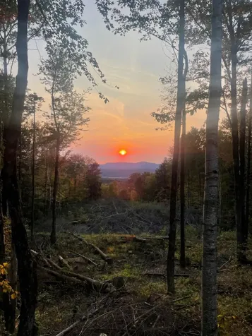00 Notch Road Extension Shrewsbury VT 05738