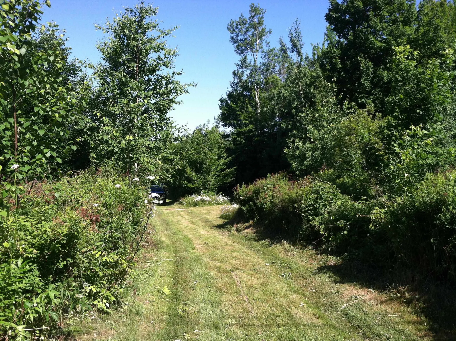 12 Rockwood Avenue Jefferson NH 03583