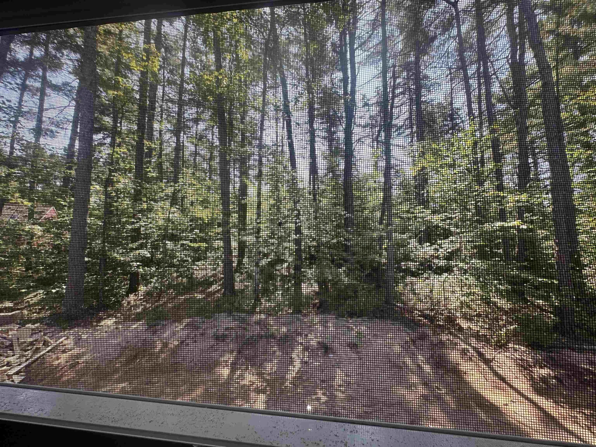 49 Nickerson Road Tamworth NH 03886