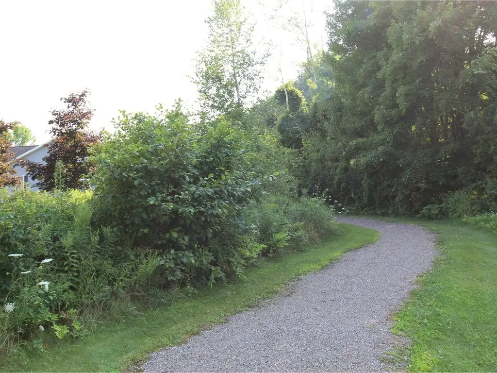 82 Hannahs Place Colchester VT 05446