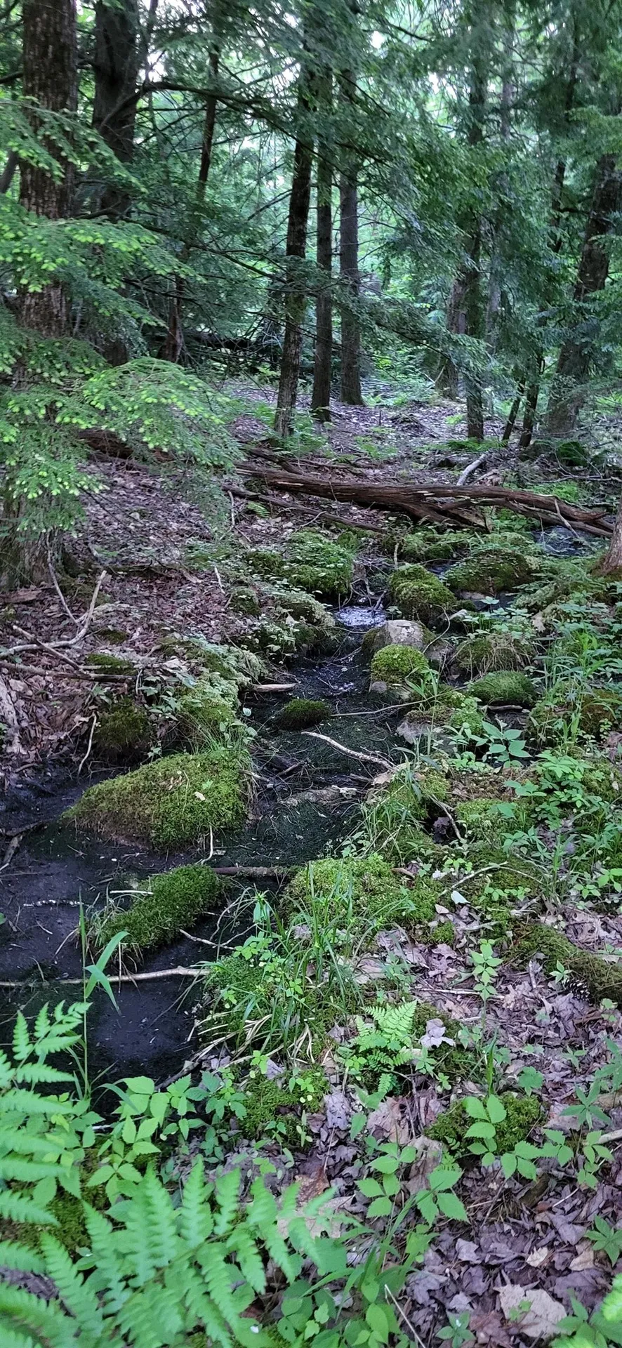 487 Route 129 Loudon NH 03307