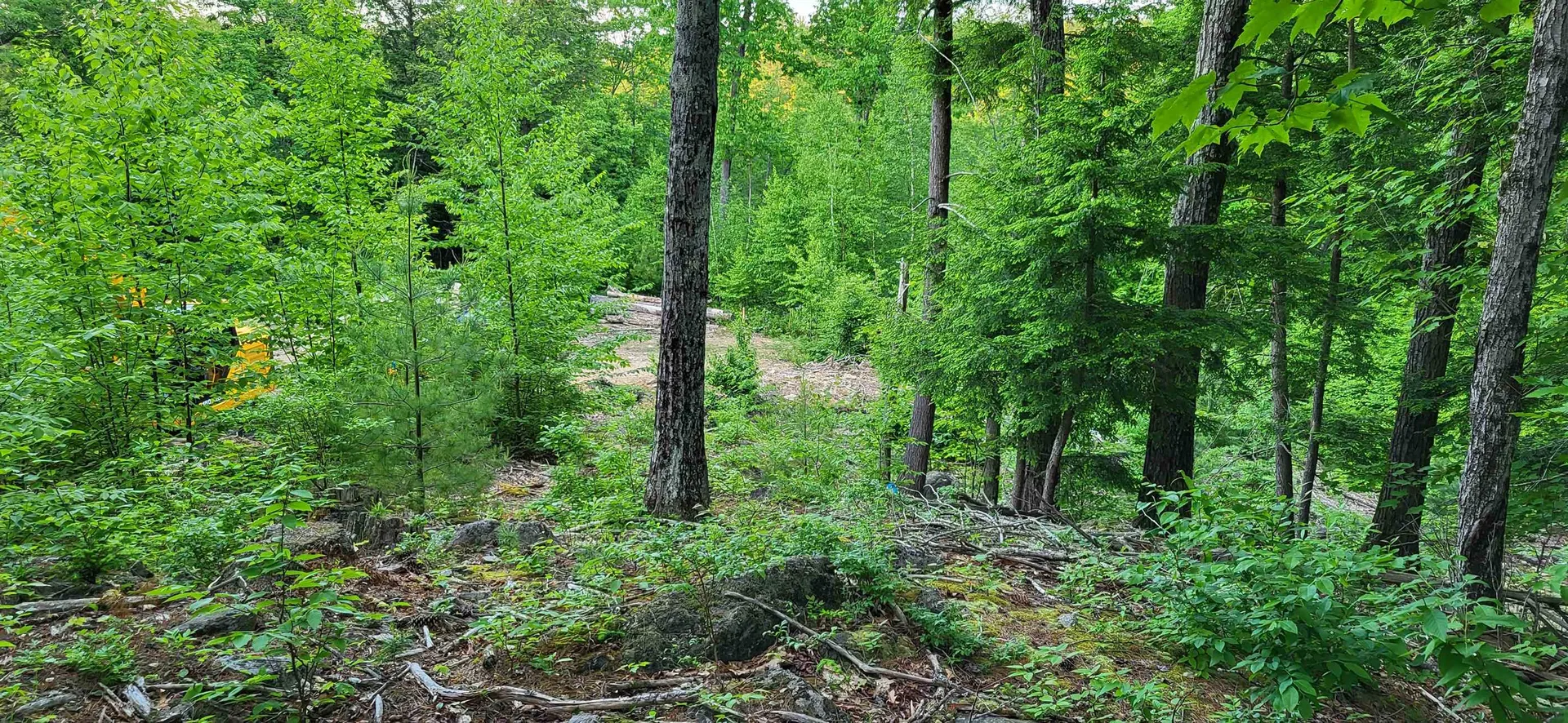 487 Route 129 Loudon NH 03307