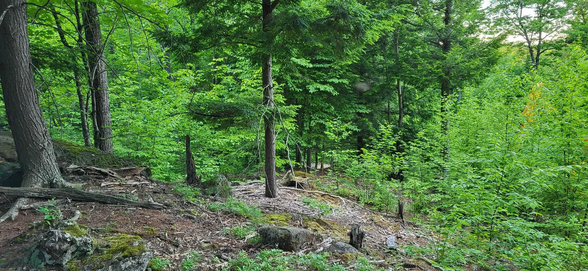 487 Route 129 Loudon NH 03307