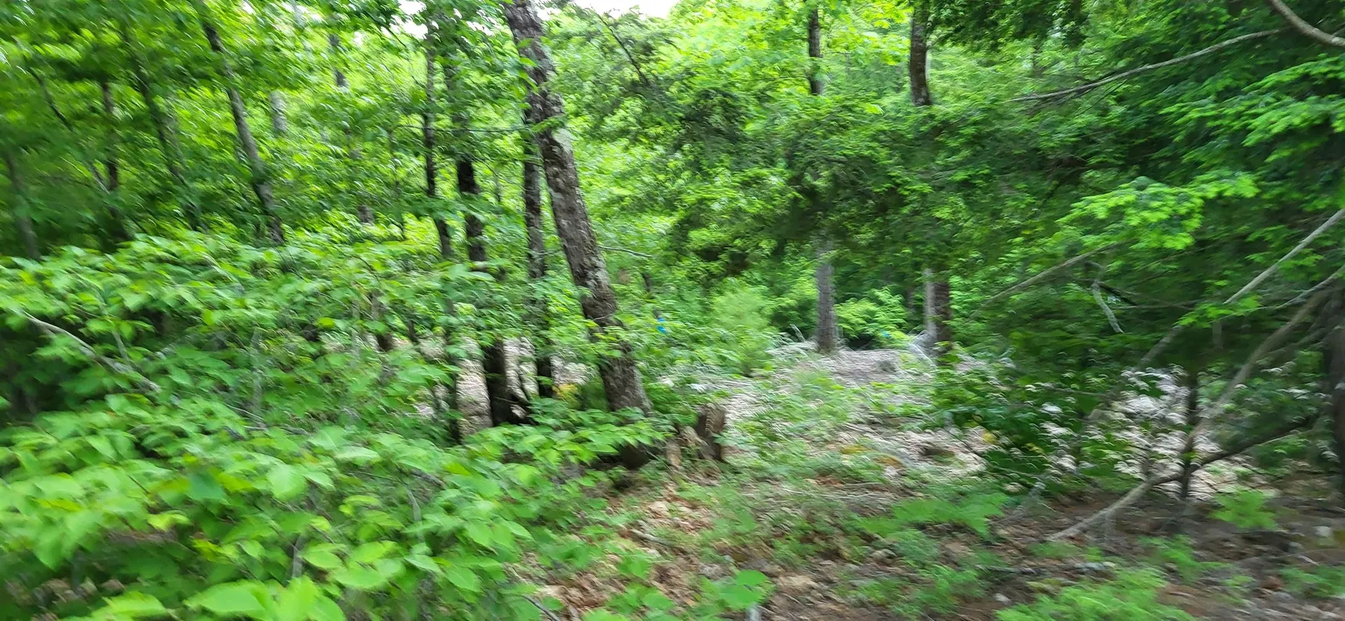 487 Route 129 Loudon NH 03307