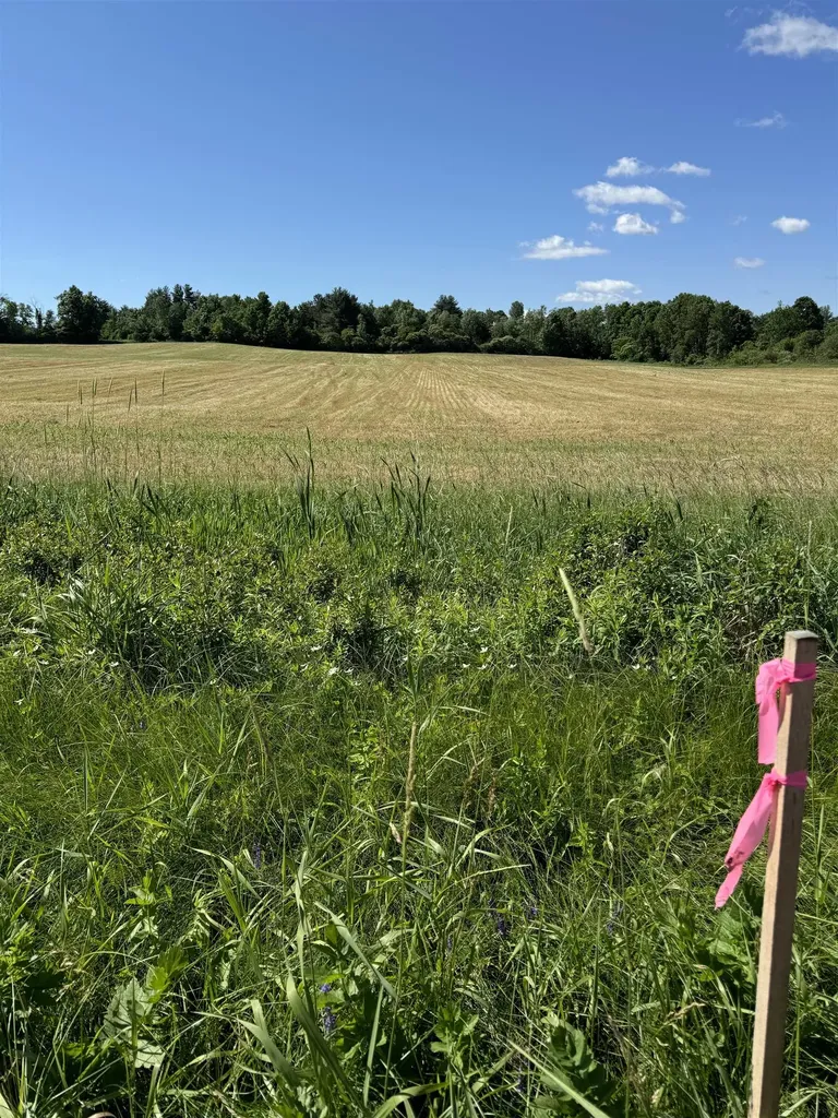 Tbd South Street New Haven VT 05441