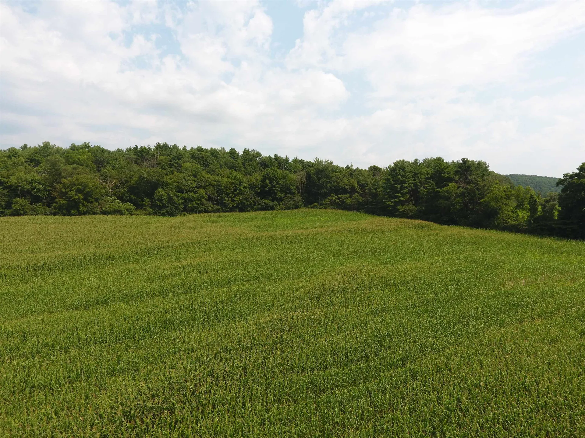 Tbd South Street New Haven VT 05441