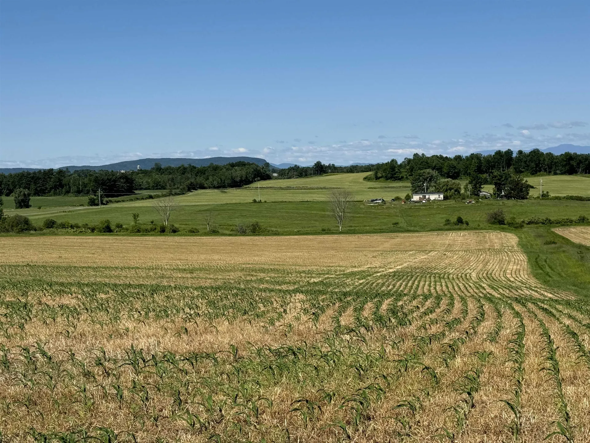 Tbd South Street New Haven VT 05441