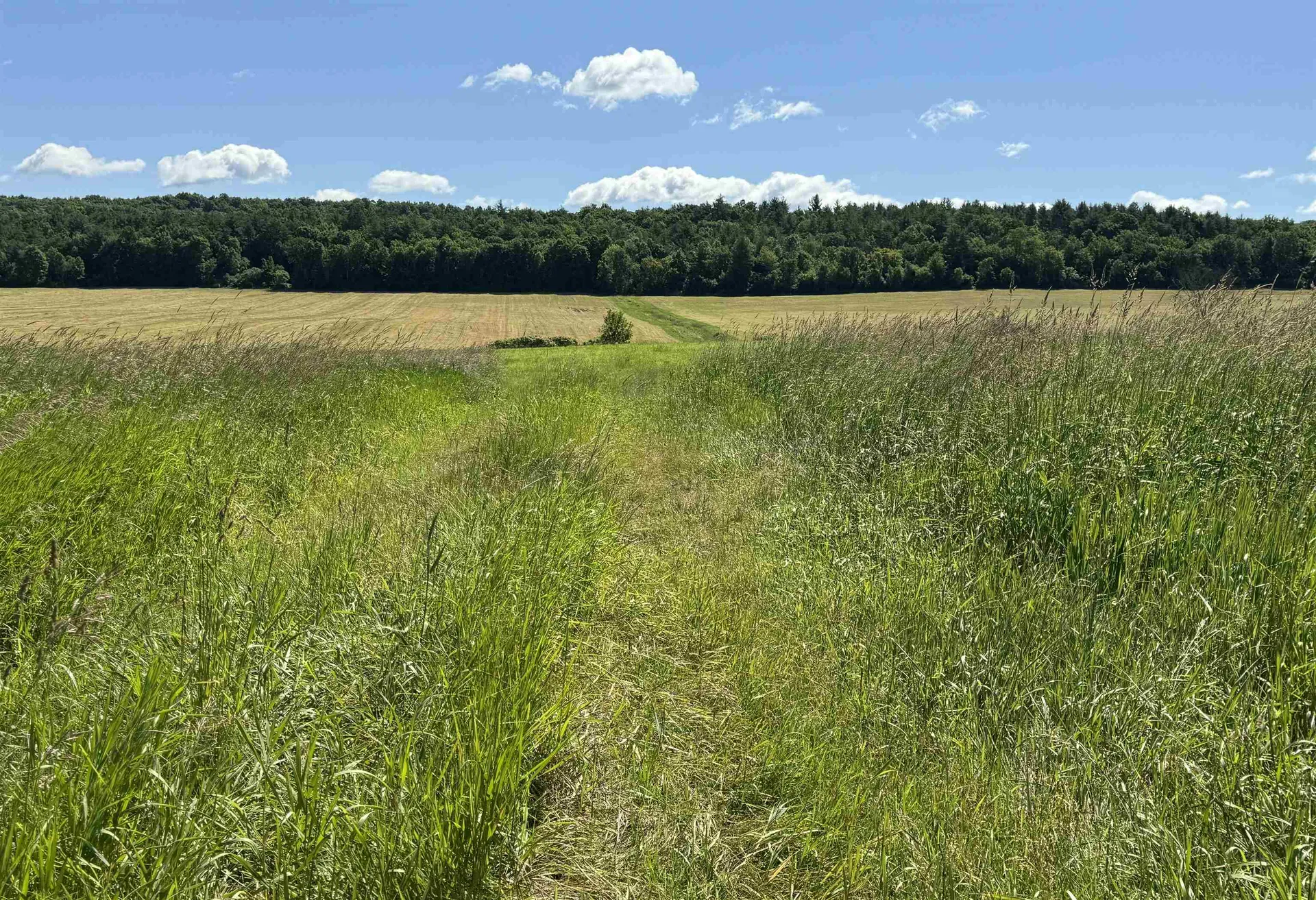 Tbd South Street New Haven VT 05441