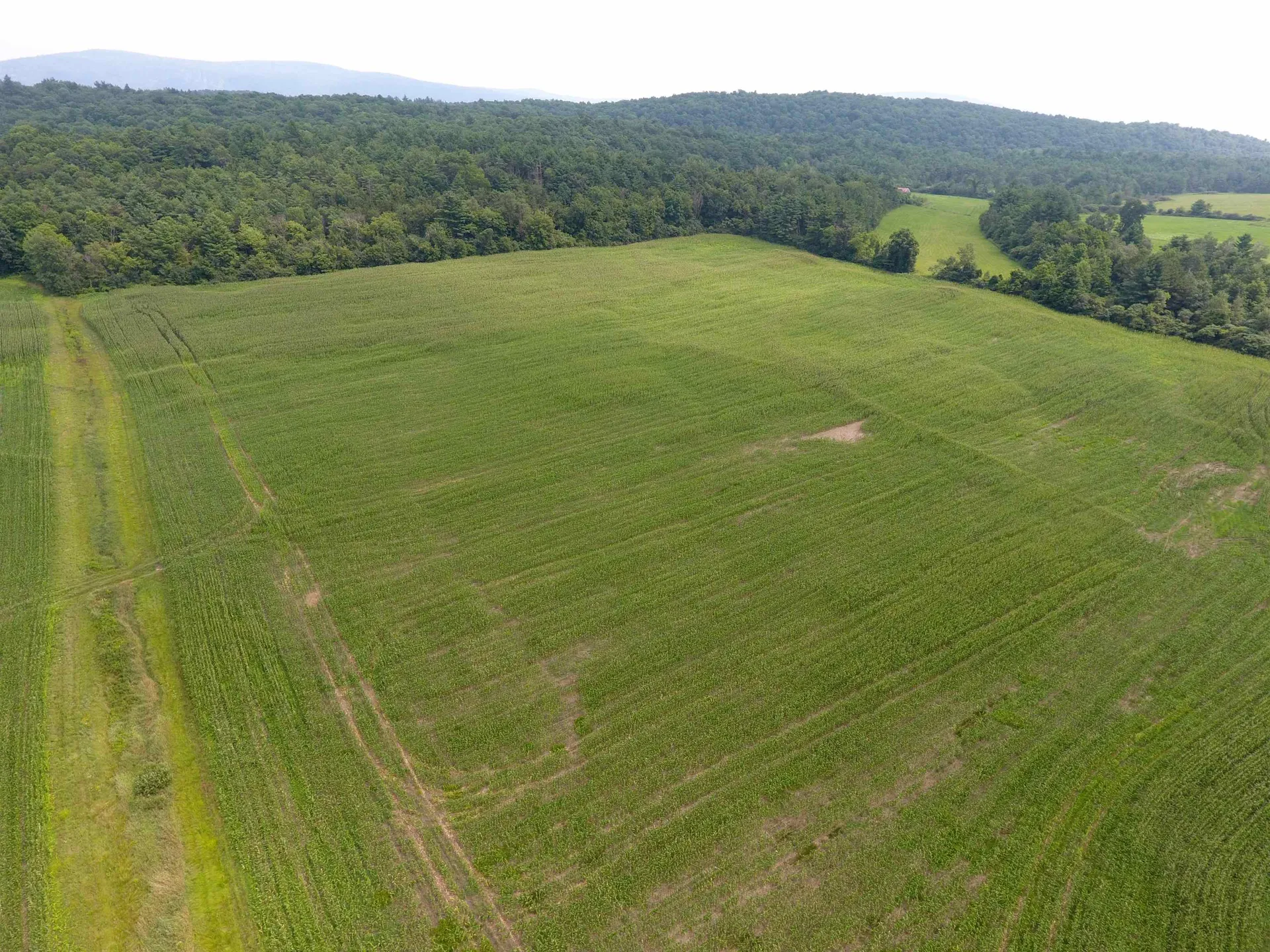 Tbd South Street New Haven VT 05441