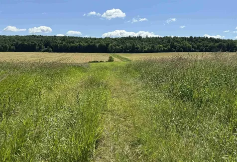 Tbd South Street New Haven VT 05441