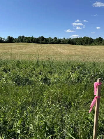 Tbd South Street New Haven VT 05441