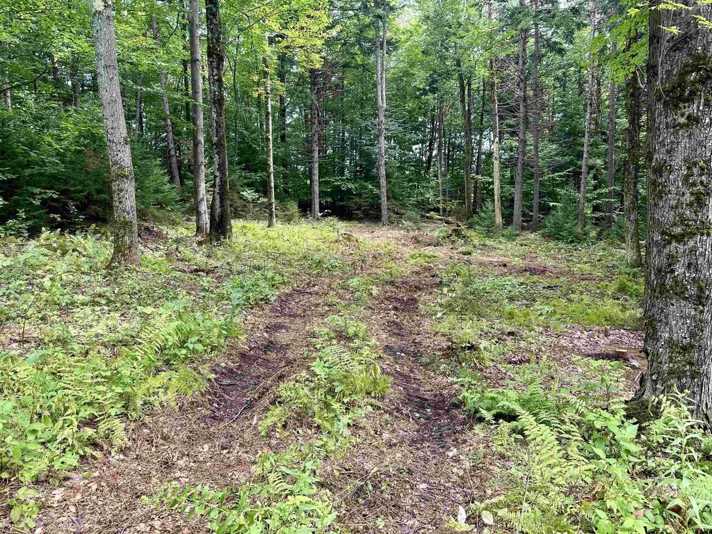 00 Knolls Road Warren VT 05674