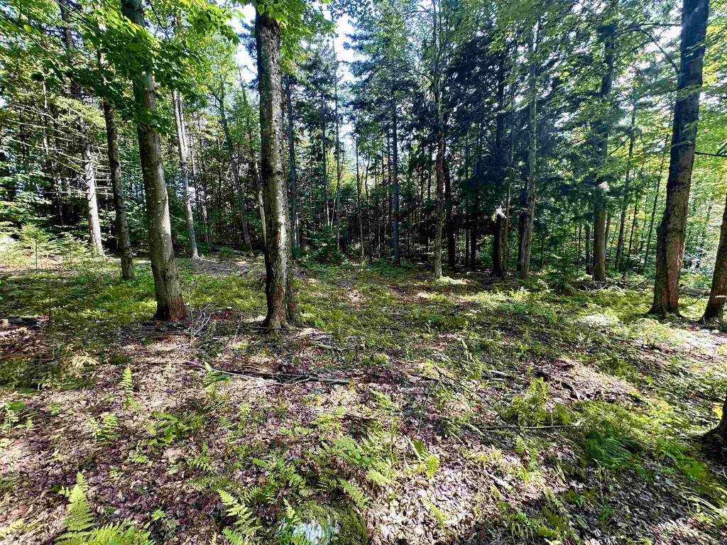 00 Knolls Road Warren VT 05674