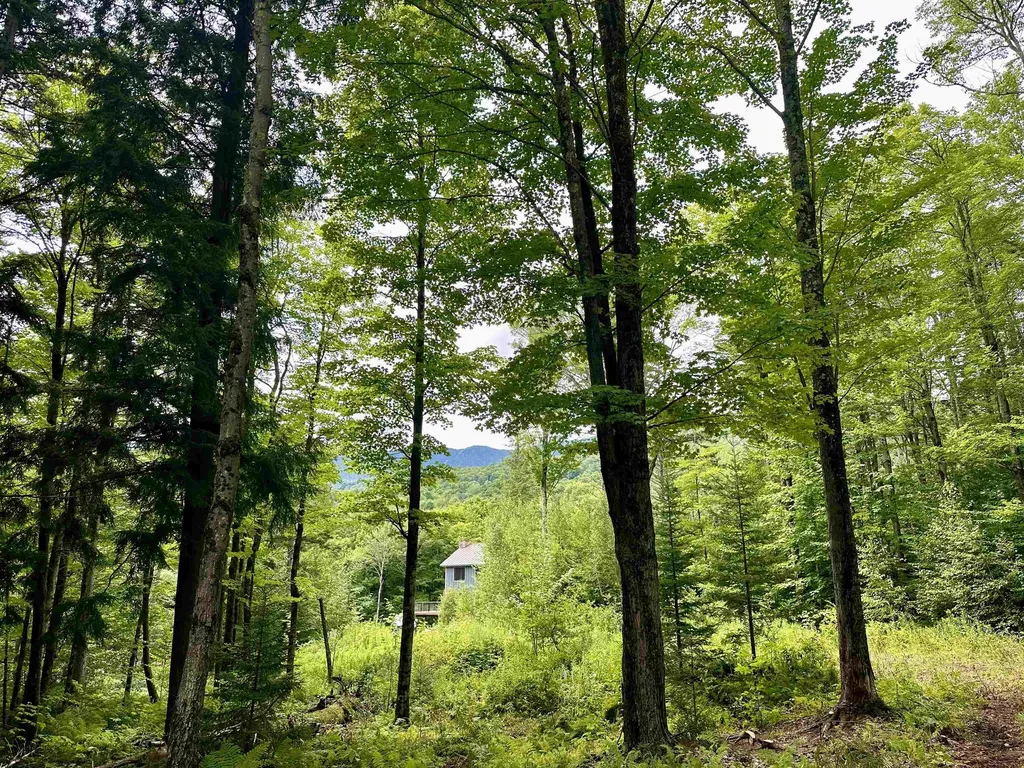 00 Knolls Road Warren VT 05674