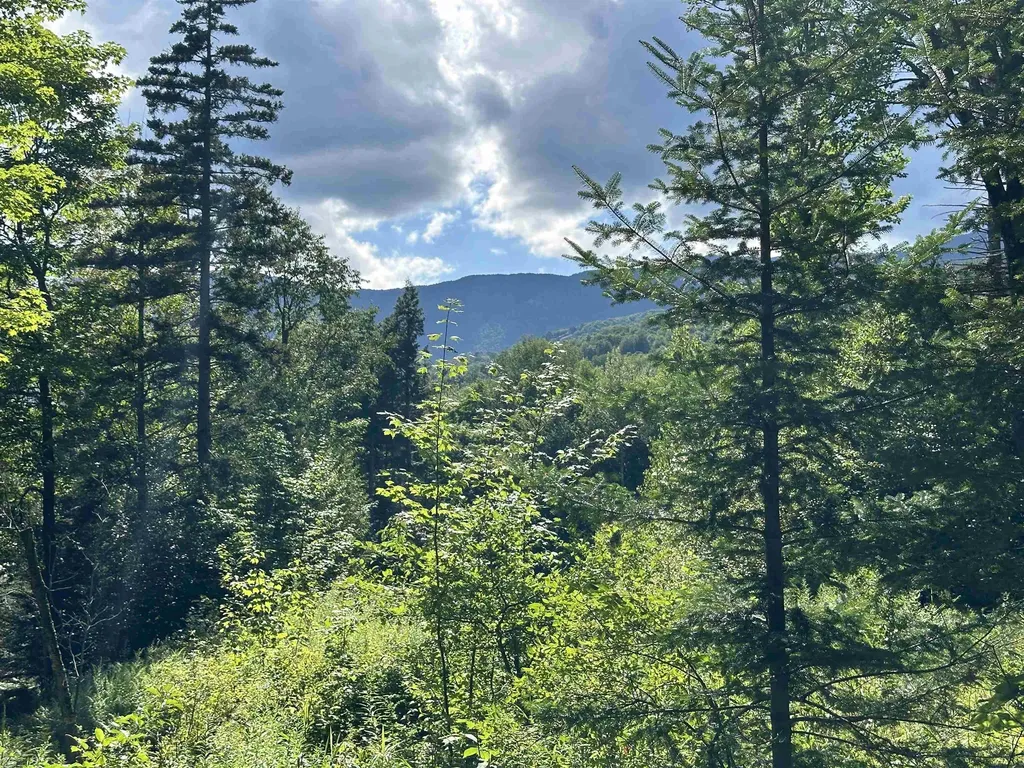 00 Knolls Road Warren VT 05674